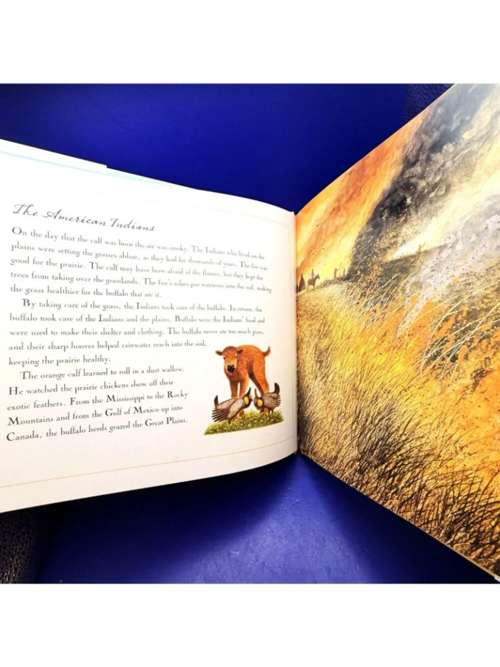 Buffalo Are Back Jean Craighead George 2010 HC Ex Library Dust Jacket